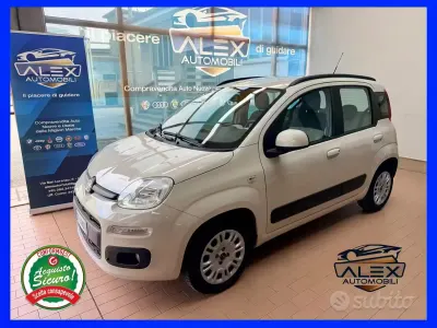 Usata Fiat Panda 69 CV (50 kW) 2016 Beige Utilitaria