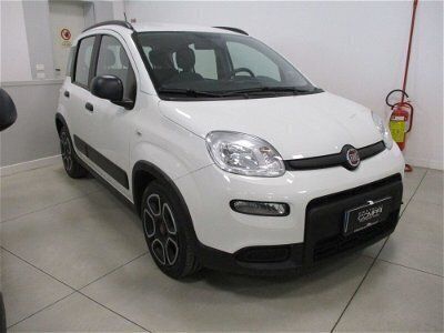 usata Fiat Panda Cross 1.0 FireFly S&S Hybrid City usato