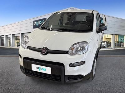 Usata Fiat Panda S 70 CV (51 kW) 2024 Bianco Utilitaria