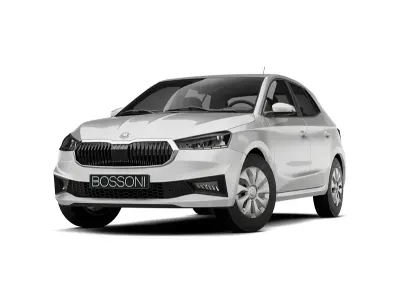 Usata Skoda Fabia