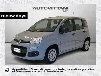 Usata Fiat Panda City Life 70 CV (51 kW) 2021 Grigio chiaro Utilitaria