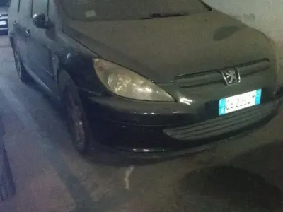 Usata Peugeot 307