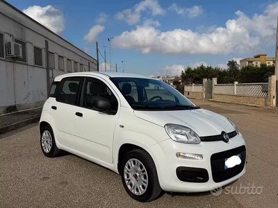 Usata Fiat Panda Easy 69 CV (50 kW) 2017 Bianco Utilitaria