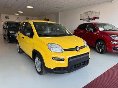 Nuova Fiat Panda S 70 CV (51 kW) 2025 Giallo Utilitaria