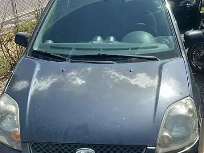 Usata Ford Fiesta