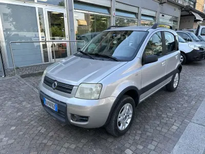 Usata Fiat Panda 4x4