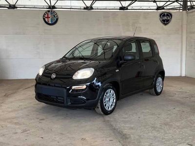 Usata Fiat Panda S 70 CV (51 kW) 2023 Nero Utilitaria