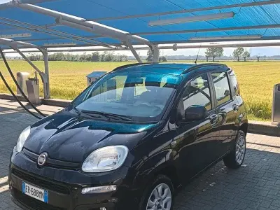 Usata Fiat Panda 85 CV (62 kW) 2014 Utilitaria