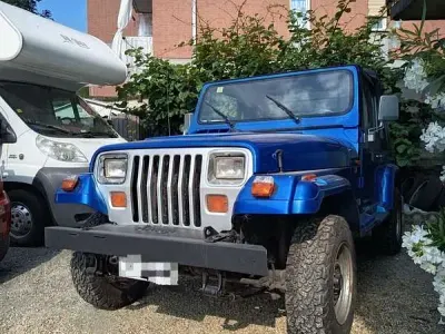 Usata Jeep Wrangler Laredo 103 CV (75 kW) 1991 Blu SUV