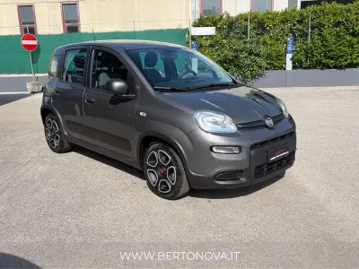 Usata Fiat Panda City Life 69 CV (50 kW) 2022 Grigio Utilitaria