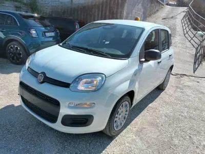 Nuova Fiat Panda Icon 65 CV (47 kW) 2025 Bianco Utilitaria