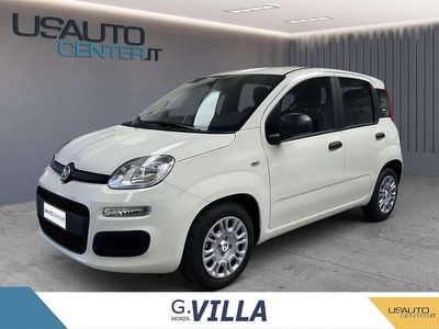 Usata Fiat Panda Icon 70 CV (51 kW) 2024 Bianco Utilitaria