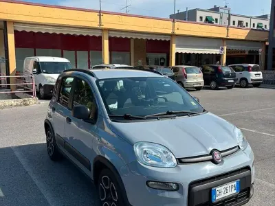 Usata Fiat Panda 69 CV (50 kW) 2021 Grigio Utilitaria