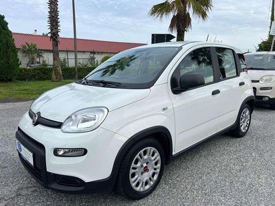 Usata Fiat Panda City Life 69 CV (50 kW) 2022 Bianco Utilitaria
