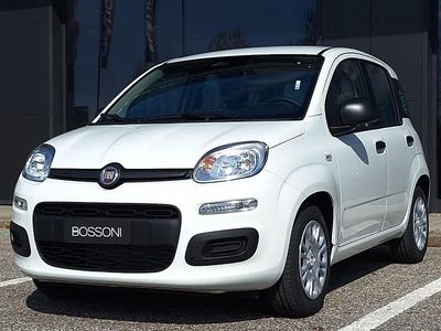 Nuova Fiat Panda Icon 65 CV (47 kW) 2026 Bianco Utilitaria
