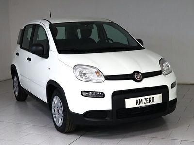 usata Fiat Panda 1.0 HYBRID 70CV LIFE