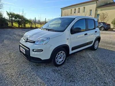 Usata Fiat Panda Street 69 CV (50 kW) 2021 Bianco Utilitaria
