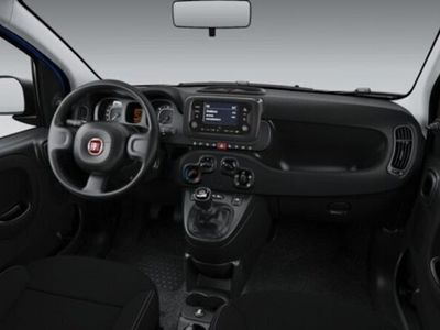 usata Fiat Panda 1.0 FireFly S&S Hybrid Launch Edition nuova a Biella