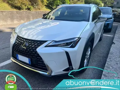 Usata Lexus UX 250h Business Edition 152 CV (111 kW) 2022 Bianco SUV
