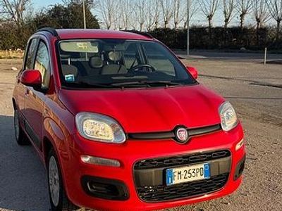 Usata Fiat Panda 69 CV (50 kW) 2017 Rosso Berlina