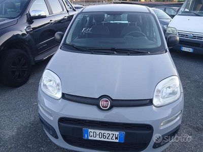 Usata Fiat Panda Easy 69 CV (50 kW) 2021 Grigio Berlina