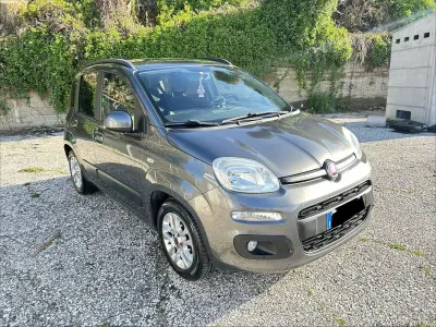 Usata Fiat Panda Lounge 69 CV (50 kW) 2017 Grigio Utilitaria