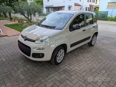 Usata Fiat Panda Easy 85 CV (62 kW) 2015 Utilitaria