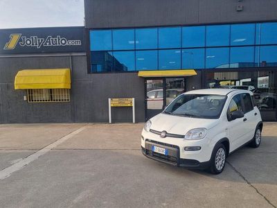 Usata Fiat Panda S 70 CV (51 kW) 2024 Bianco / pastello Utilitaria