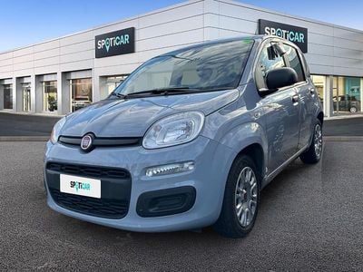 Usata Fiat Panda Easy 69 CV (50 kW) 2017 Grigio Berlina