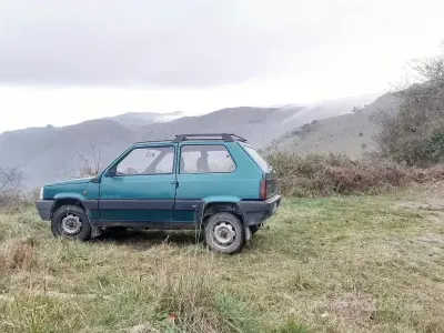 Usata Fiat Panda 4x4 Club 50 CV (36 kW) 1993 Verde Utilitaria