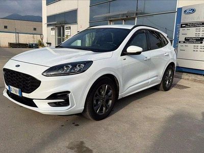 Usata Ford Kuga ST-Line X 120 CV (88 kW) 2022 Bianco SUV