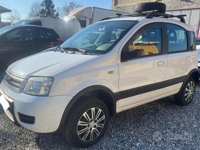 Occasion Fiat Panda 4x4 60 ch (44 kW) 2007 Gris Citadine