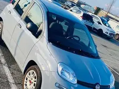 Usata Fiat Panda Connect 69 CV (50 kW) 2021 Utilitaria