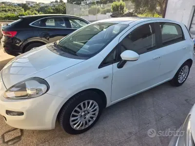 Gebraucht Fiat Punto 90 PS (66 kW) 2014 Weiß Kleinwagen