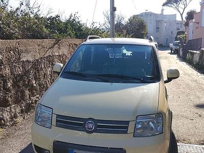 Usata Fiat Panda 2007 Giallo Utilitaria