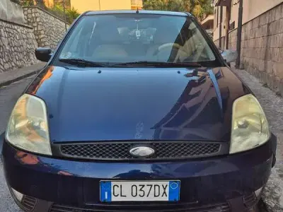 Usata Ford Fiesta