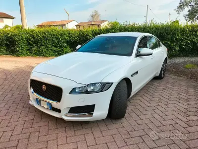 Usata Jaguar XF Portfolio 240 CV (176 kW) 2016 Bianco Berlina