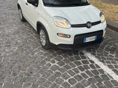 Usata Fiat Panda