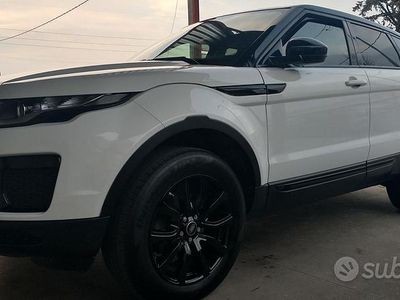 Usata Land Rover Range Rover evoque 150 CV (110 kW) 2019 Bianco SUV