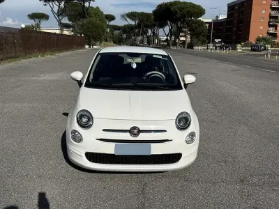 Usata Fiat 500 Easy 69 CV (50 kW) 2021 Bianco Berlina