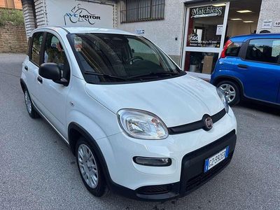 Usata Fiat Panda Icon 70 CV (51 kW) 2025 Bianco Berlina