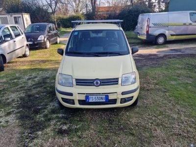 Usata Fiat Panda Dynamic 60 CV (44 kW) 2008 Giallo Utilitaria