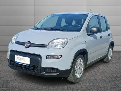 Usata Fiat Panda S 69 CV (50 kW) 2022 Other Utilitaria