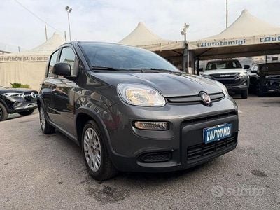 Usata Fiat Panda S 70 CV (51 kW) 2022 Grigio Utilitaria