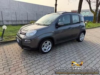 Usata Fiat Panda City Life 70 CV (51 kW) 2022 Grigio Utilitaria