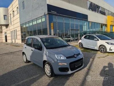 Usata Fiat Panda S 69 CV (50 kW) 2021 Grigio Utilitaria