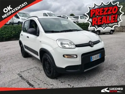 Usata Fiat Panda 4x4 S 86 CV (63 kW) 2020 Bianco Utilitaria