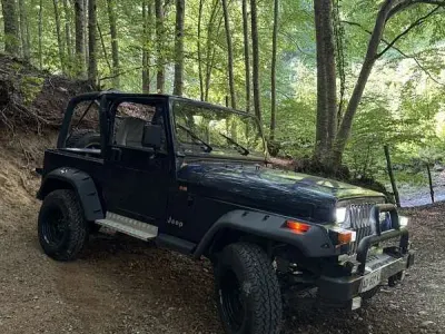 Usata Jeep Wrangler Laredo 184 CV (135 kW) 1994 SUV