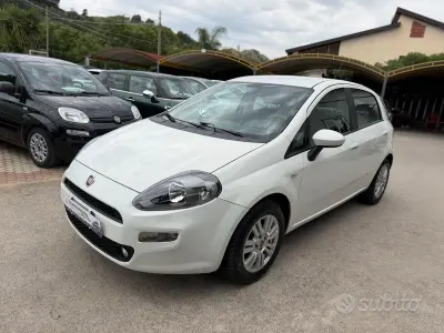 Usata Fiat Punto Lounge 69 CV (50 kW) 2013 Bianco Utilitaria