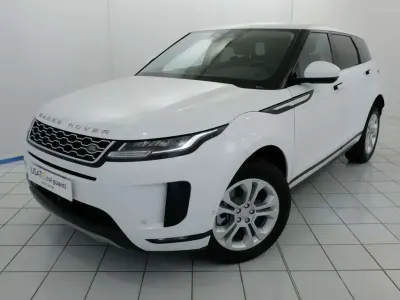 Usata Land Rover Range Rover evoque S 163 CV (119 kW) 2021 Bianco SUV